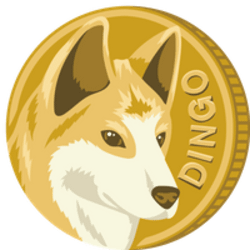 DINGO